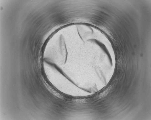 X0000057081126200510071838