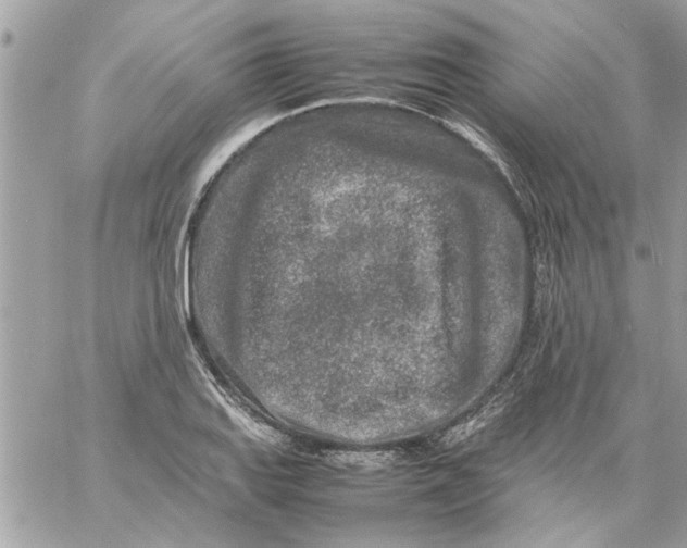 X0000057081127200510071838