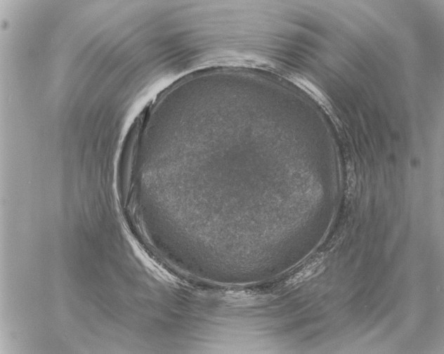 X0000057081128200510071838