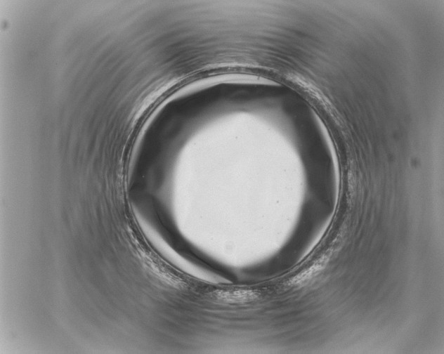 X0000057081129200510071838