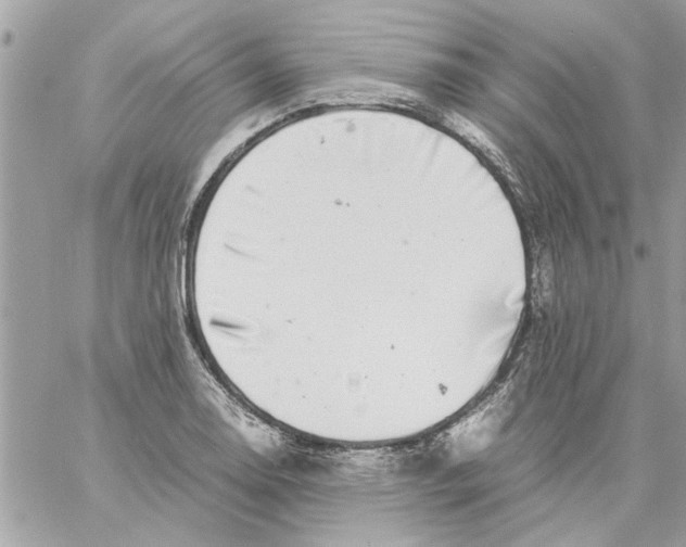 X0000057081130200510071838