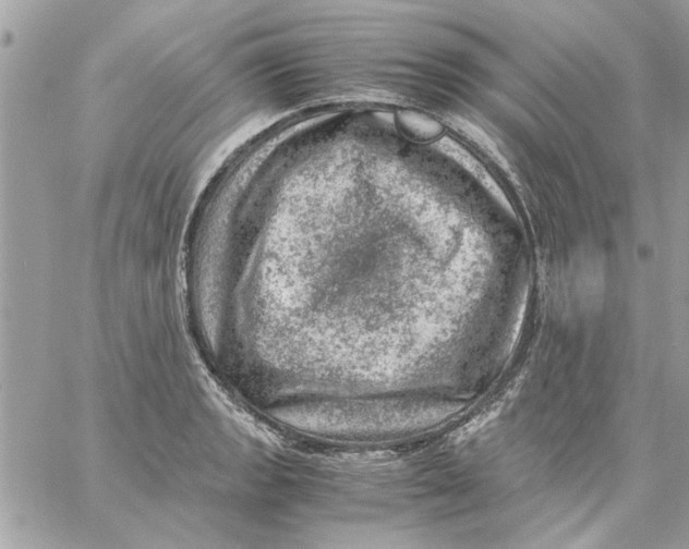 X0000057081133200510071838