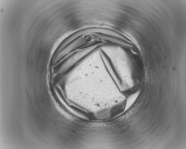 X0000057081136200510071838