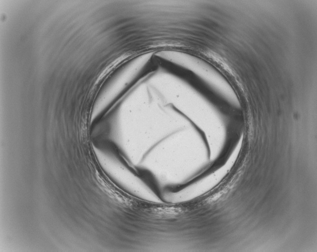 X0000057081137200510071838