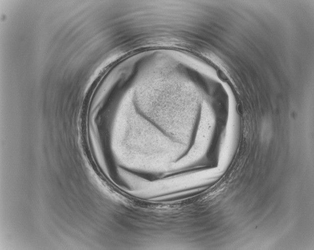 X0000057081139200510071838