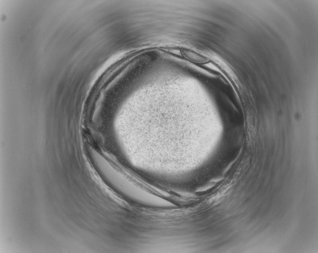 X0000057081142200510071838