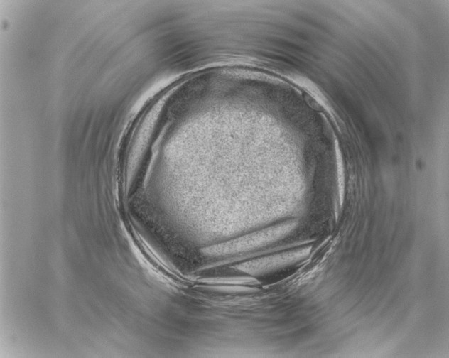 X0000057081143200510071838