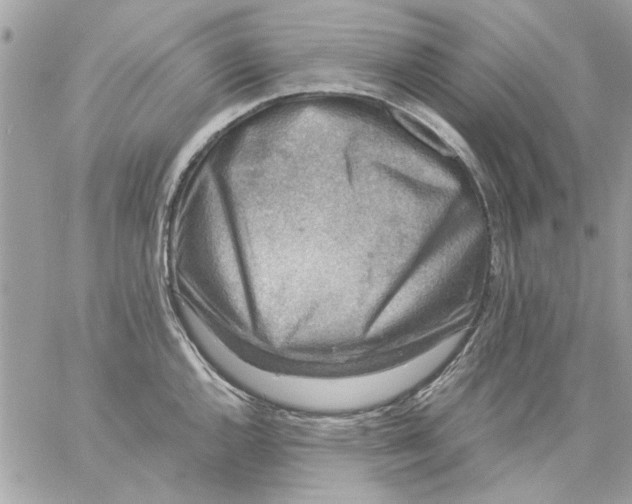 X0000057081144200510071838