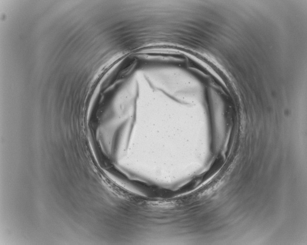 X0000057081145200510071838