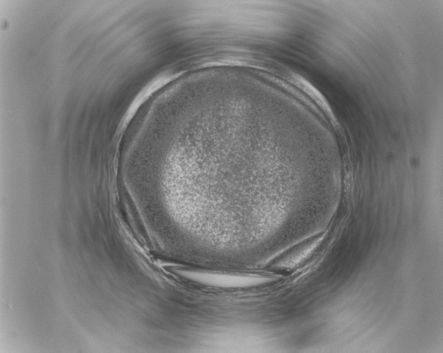 X0000057081146200510071838