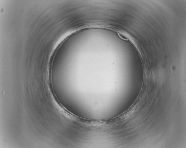 X0000057081147200510071838