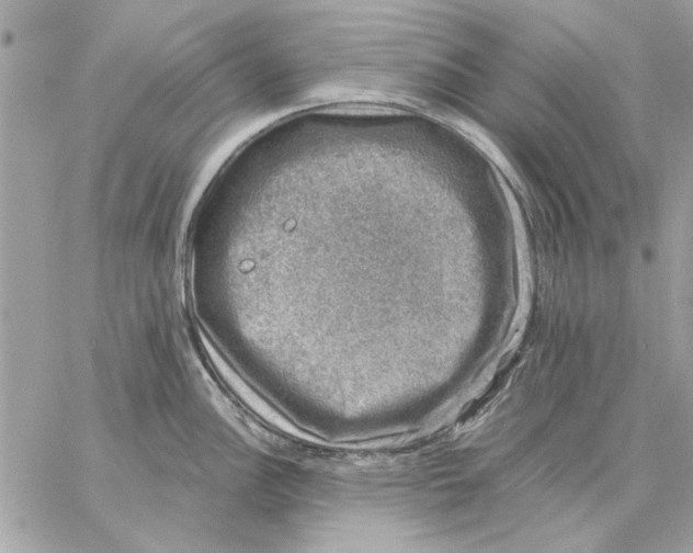 X0000057081148200510071838