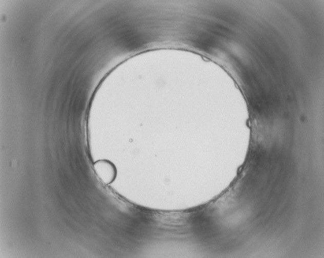 X0000057081150200510071839