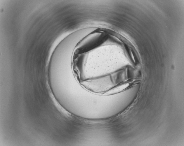 X0000057081152200510071839