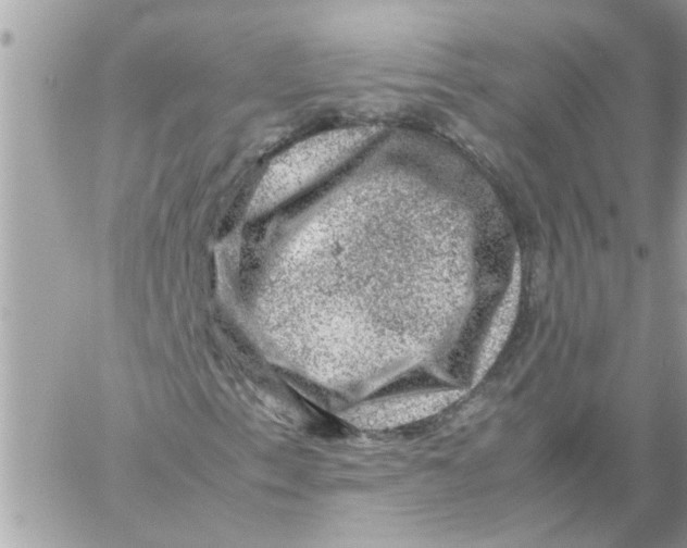 X0000057081153200510071838