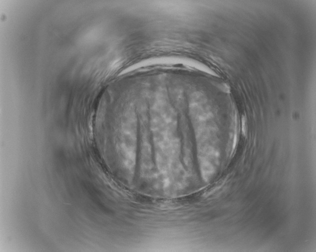 X0000057081155200510071838