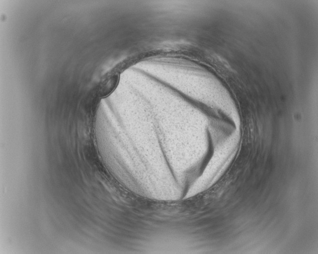 X0000057081158200510071838