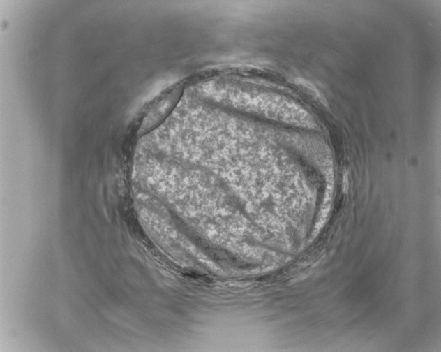 X0000057081159200510071838