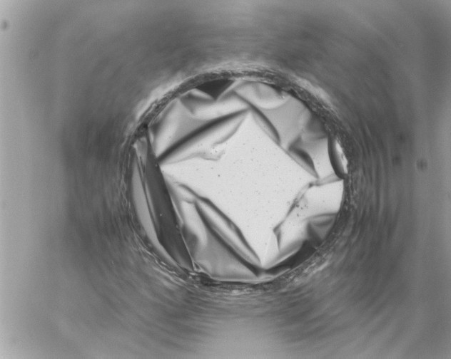 X0000057081160200510071838