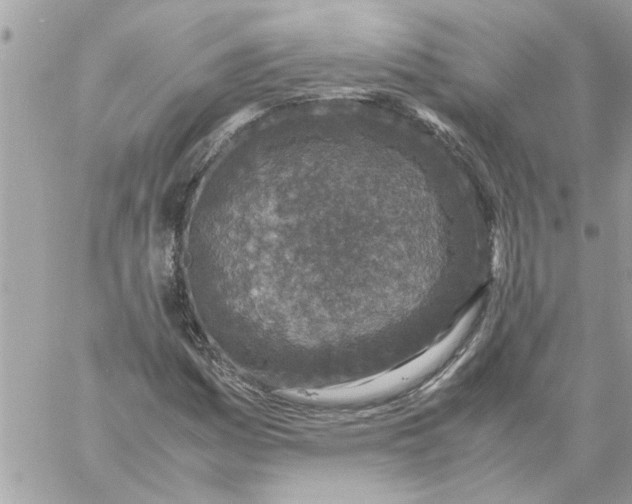 X0000057081161200510071838