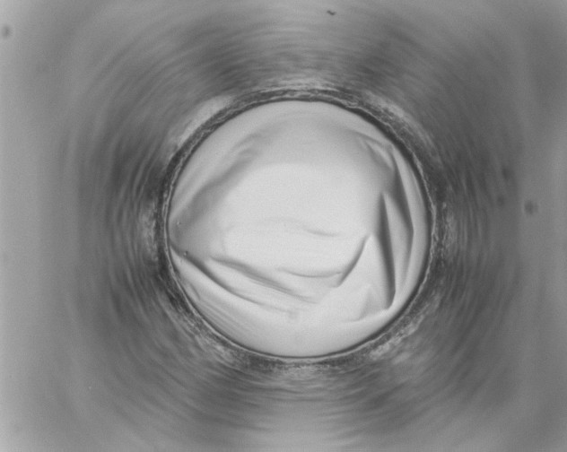 X0000057081162200510071838