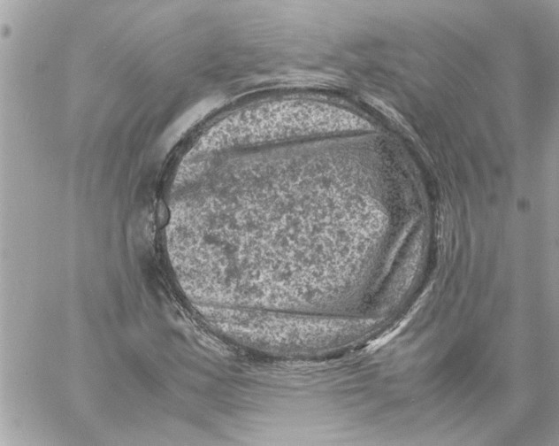 X0000057081163200510071838