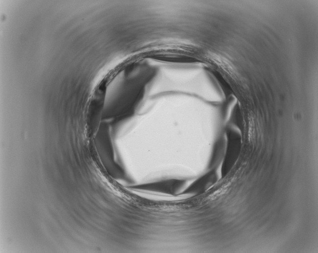 X0000057081164200510071838