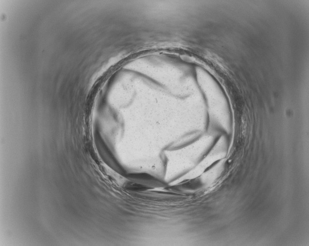 X0000057081165200510071838