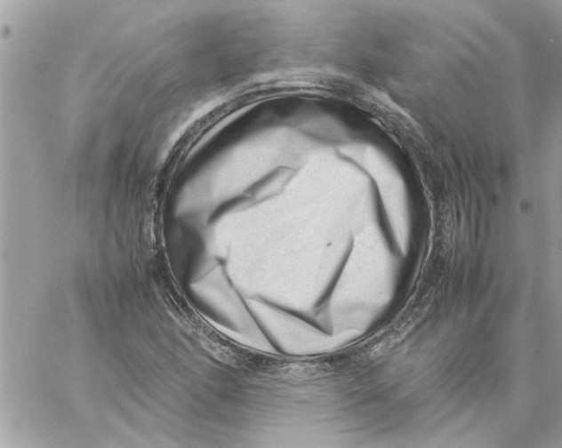 X0000057081166200510071838