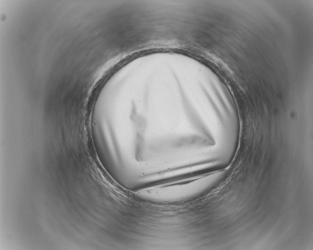 X0000057081168200510071838