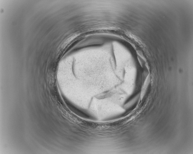 X0000057081169200510071837