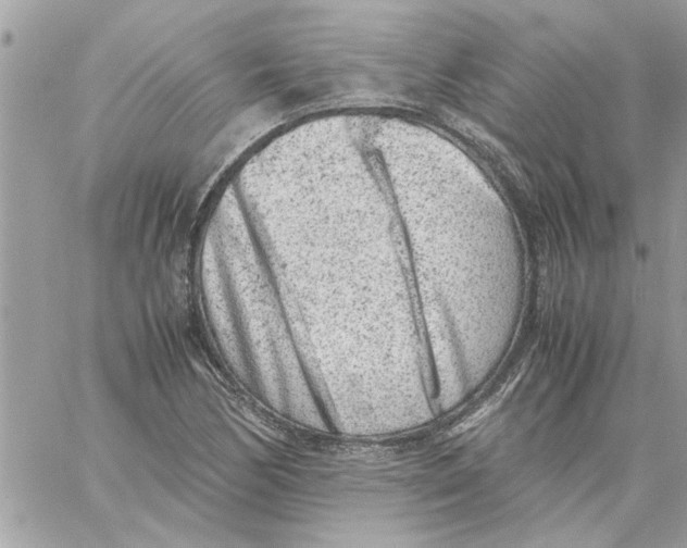 X0000057081170200510071837