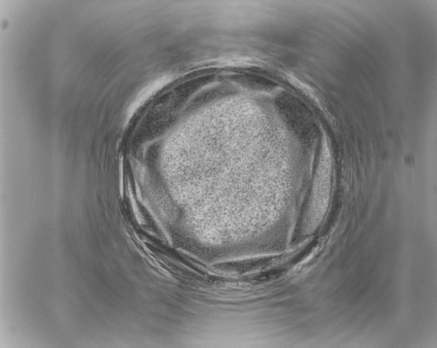 X0000057081171200510071837