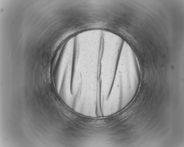 X0000057081174200510071837