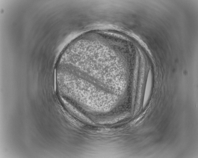 X0000057081175200510071837