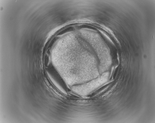 X0000057081176200510071837