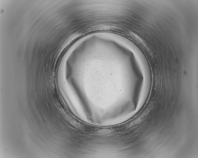 X0000057081178200510071837