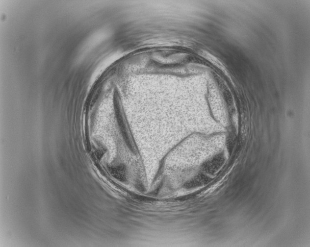 X0000057081179200510071837