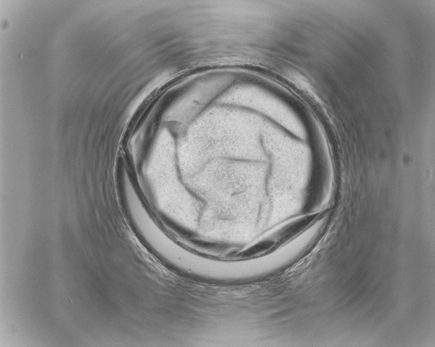 X0000057081181200510071837