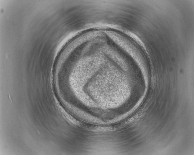 X0000057081183200510071837