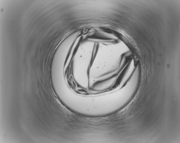 X0000057081185200510071837