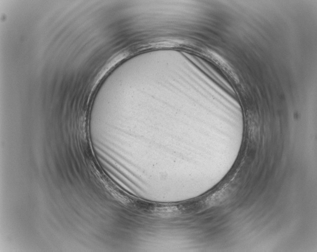 X0000057081186200510071837