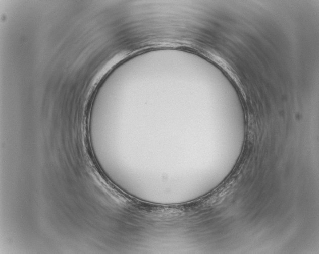 X0000057081187200510071837