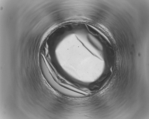 X0000057081188200510071837