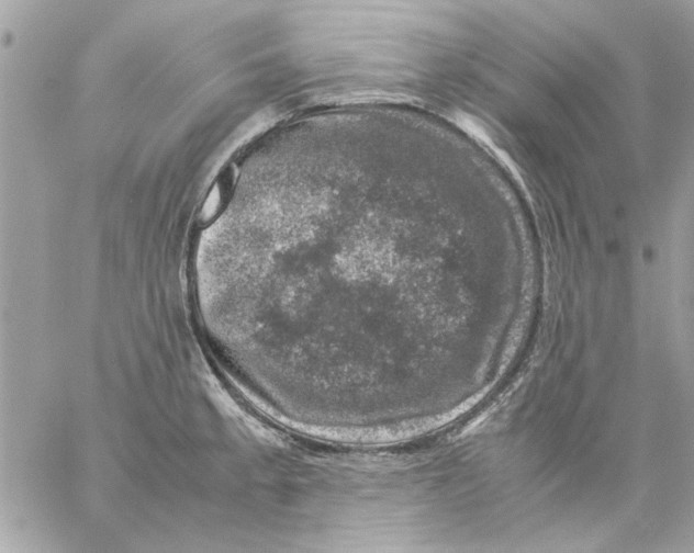 X0000057081189200510071837