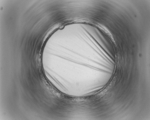 X0000057081190200510071837