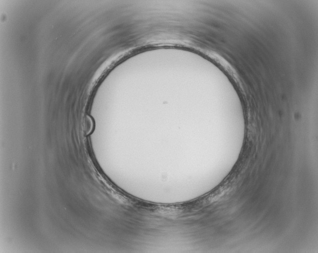 X0000057081191200510071837