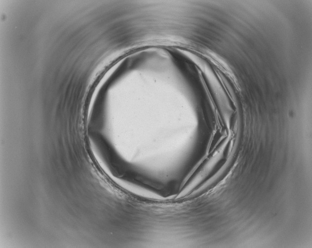 X0000057081192200510071837