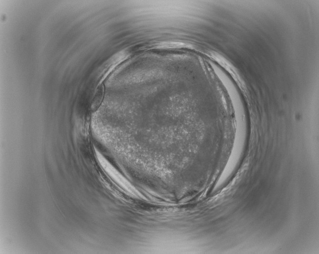 X0000057081193200510071837