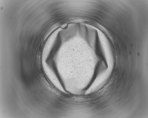 X0000057081194200510071837